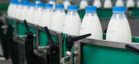 Бизнес-идея: производство молока и молочных продуктов